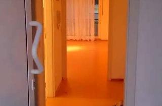 Wohnung mieten in Rossertstraße 23a, 65795 Hattersheim, 1-Zimmer Wohnung mit Balkon in Hattersheim am Main