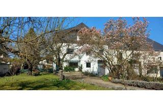 Wohnung mieten in 65549 Limburg, Helle, ruhige + gepflegte Erdgeschoss- Wohnung mit 3 Terrassen und EBK