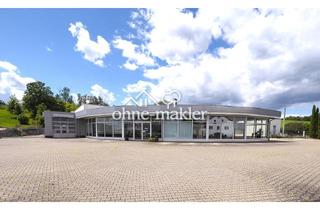 Gewerbeimmobilie kaufen in 09306 Rochlitz, Gewerbeimmobile/ Autohaus (mit 138 m² Einliegerwohnung)