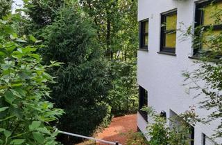 Wohnung mieten in 57271 Hilchenbach, Attraktive und gepflegte 2 1/2 Zimmer ELW in Südlage in 57271 Hilchenbach OT