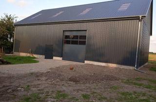 Lager mieten in 16259 Oderaue, Lagerfläche/Stellplätze in sanierter Scheune zu vermieten