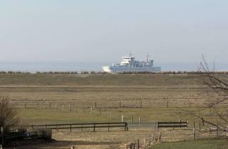 Reihenhaus kaufen in 26548 Norderney, Reihenhaus mit unverbaubarem 180°- Rundumblick bis nach Holland.