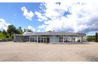 Gewerbeimmobilie kaufen in Colditzer Straße 16, 09306 Rochlitz, Gewerbeimmobile/ Autohaus (mit 138 m² Einliegerwohnung)