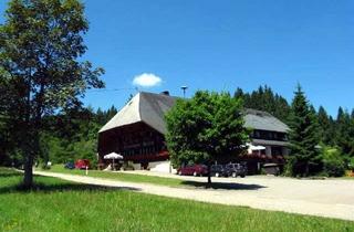 Anlageobjekt in Mutterslehen, 79837 Ibach, Hotel inkl. Bauland für MFH, Einfamilienhäuser oder Wohnungen