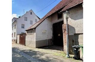 Mehrfamilienhaus kaufen in 75015 Bretten, Dreifamilienhaus mit Doppelgarage u. Scheune für Anpacker oder Investoren