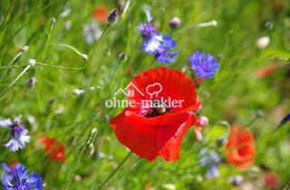 Immobilie kaufen in 81827 München, Provisionsfrei - traumhaftes Grundstück / EFH in bester Lage Waldtrudering