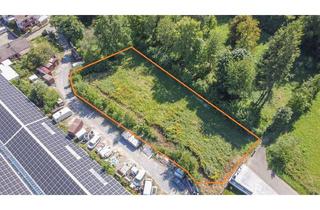 Lager kaufen in 69242 Mühlhausen, Gewerbegrundstück in Mühlhausen