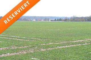 Immobilie kaufen in 27318 Hoyerhagen, 6,36 ha Ackerland in Hoyerhagen zu verkaufen