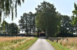 Immobilie kaufen in 49419 Wagenfeld, Solider Resthof mit Scheune Stallungen in Alleinlage