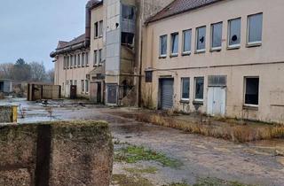 Gewerbeimmobilie kaufen in 32257 Bünde, Produktionshalle / Lager- mit Verladezone zu verkaufen