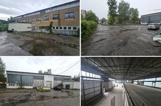 Büro zu mieten in 04279 Leipzig, 2 freist., pfeilerfreie Hallen in ruhiger Lage mit Büro-& Lagerebenen + ca. 2.500 m² Freifläche mgl.