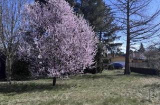 Villa kaufen in 16515 Oranienburg, perfekt für Ihr Vorhaben - Baugrundstück und Ihr individuelles EFH