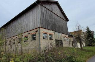Bauernhaus kaufen in 95643 Tirschenreuth, Hofstelle mit Nebengebäude zu verkaufen