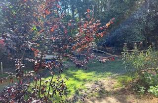 Wohnung kaufen in 21256 Handeloh, Handeloh - Eigentumswohnungen u. Doppelhaushälften in Handeloh zu verkaufen