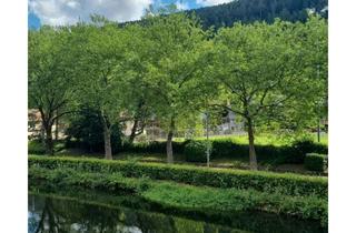 Wohnung mieten in 75323 Bad Wildbad, 4 ZKB in Calmbach / Bad Wildbad zu vermieten