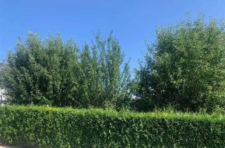 Grundstück zu kaufen in 93161 Sinzing, Provisionsfrei! Sonniges Baugrundstück in ruhiger Lage in Sinzing-Schneckenbach