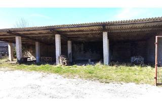 Grundstück zu kaufen in Hauptstraße 11, 67319 Wattenheim, Grundstück mit Haus und Hallen. Ehemaliger Bauhof!