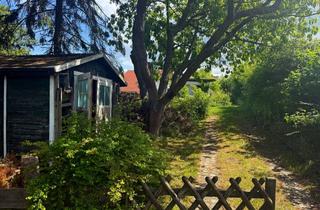 Grundstück zu kaufen in 18209 Wittenbeck, Traumhaftes Baugrundstück in idyllischer Lage