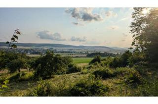 Grundstück zu kaufen in 31079 Sibbesse, Naturidyll am Waldrand: Baugrundstück mit Weitblick