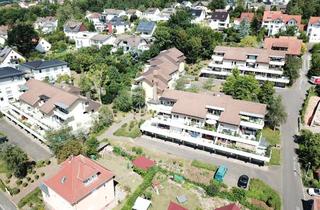 Wohnung mieten in Lambertstraße, 36251 Bad Hersfeld, 2 Zimmer im 1. OG, Wohnanlage Unterm Sonnenweg (2026 renoviert)