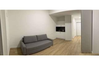 Wohnung mieten in Eduard-Rüber-Straße 11, 83022 Innenstadt, 1-Zimmer Erdgeschosswohnung mit Balkon in Rosenheim Innenstadt