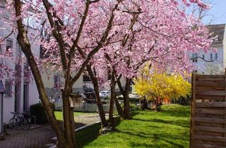 Wohnung mieten in 88400 Biberach, 3-Zimmer Erdgeschosswohnung mit Terrasse in Biberach an der Riß