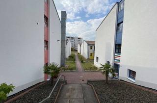 Wohnung mieten in Gerhart-Hauptmann-Straße 16B, 67663 Innenstadt, Wunderschönes sonniges Appartement, tolle Lage nahe Universität.