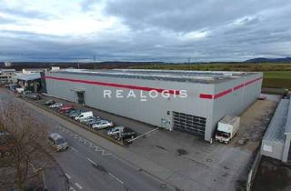 Gewerbeimmobilie mieten in 73265 Dettingen, Hochwertige Hallenfläche mit LKW-Rampen und ebenerdigen Zugang zu vermieten!