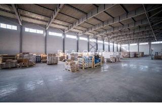 Gewerbeimmobilie mieten in 73240 Wendlingen, Autobahnnähe - Hochwertige Hallenfläche zu vermieten!