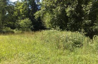 Grundstück zu kaufen in 94348 Atting, Baugrundstück in Atting: 2 Zweifamilienhäuser – Baurechtlich gesichert!