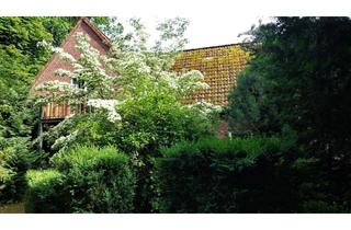 Wohnung mieten in 29640 Schneverdingen, 2,2 ZIWO mit Sonnenterrasse