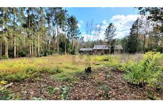 Grundstück zu kaufen in 28816 Stuhr, EXKLUSIVE LAGE FÜR MAXIMALE PRIVATSPHÄRE