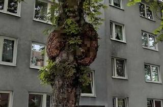 Wohnung kaufen in 34127 Kassel, Kassel - Kapitalanlage oder Eigennutzung - 3ZKB direkt an der Uni Kassel