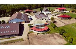 Haus kaufen in 58285 Gevelsberg, Gevelsberg - PREMIUM-REITANLAGE MIT 5-STERNE-HISTORIE