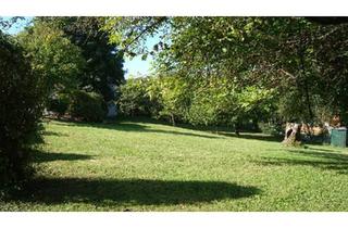 Mehrfamilienhaus kaufen in 69509 Mörlenbach, Mörlenbach - Mehrfamilienhaus mit Baulandreserven