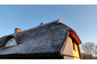 Einfamilienhaus kaufen in 18581 Putbus, Putbus - EinfamilienhausDoppelhaushälfte mit 1813qm Eigentumsgrundstück