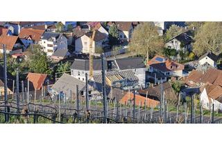 Wohnung mieten in 77815 Bühl, Barrierearme 2-Zimmer-Wohnung mit SW-Balkon in Bühl