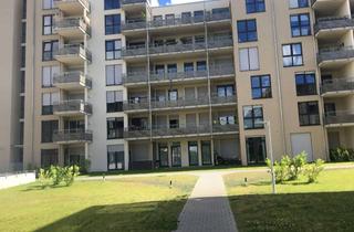 Wohnung mieten in Mühlheimer Straße, 63065 Offenbach, 2-Zimmer-Wohnung mit Wintergarten + Balkon in Südlage