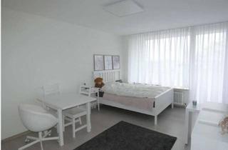 Wohnung mieten in Schwibbogenplatz 2f, 86153 Innenstadt, Vollmöbilierte 1-Zimmer Wohnung in Augsburgs lebendiger Innenstadt