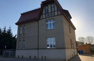Wohnung mieten in Carl-Meier-Straße, 17235 Neustrelitz, Schöne 3-Raum Wohnung in Alt-Strelitz