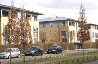 Wohnung mieten in Berliner Str. 61, 14612 Falkensee, **Bezugsfrei ab 01.04.2026** Gepflegte Wohnung in Stadtvilla EBK