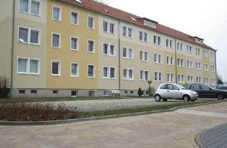 Wohnung mieten in Frankstr. 15, 17454 Zinnowitz, 2 Raumwohnung in Zinnowitz (52.13)