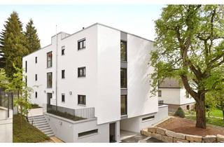 Wohnung mieten in Abt-Fehr-Str. 8/1, 88471 Laupheim, Großzügige 2 Zimmer- Wohnung im Herzen von Laupheim