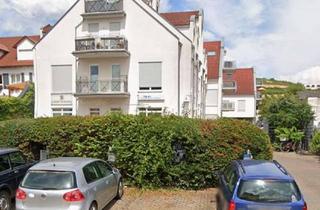 Wohnung mieten in 55218 Ingelheim, Helle 1,5 Zi Whg mit Blick ins Grüne