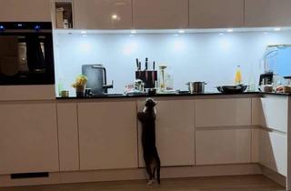 Wohnung mieten in Pembabogen 21, 13587 Spandau, 2-Zimmer-Gartenwohnung in ruhiger Lage nahe Havel und Wald