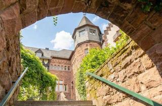 Haus kaufen in 69239 Neckarsteinach, Architekturgeschichte mit Weitblick – Wohnen im historischen Schulhaus