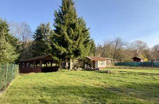 Haus kaufen in 67819 Kriegsfeld, EUPORA® Immobilien: Wohnhaus in Kriegsfeld mit separatem Freizeitgarten