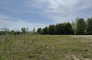 Haus kaufen in 04564 Böhlen, Ihr neues Zuhause-KfW40-Klimafreundlich- großer Garten - in direkter Nachbarschaft zu Markkleeberg