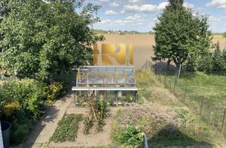 Haus kaufen in 38104 Volkmarode, MFH mit Mieteinnahmen & EFH (Leerstehend) mit Potenzial auf großem Grundstück in Schapen