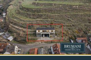 Grundstück zu kaufen in 79235 Vogtsburg, BRUMANI | Großzügiges Baugrundstück mit Genehmigung und Hanglage in Vogtsburg, auf ca. 1.000 m²